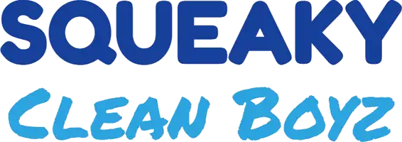 Squeaky Clean Boyz logo with bold blue and light blue text on a white background.